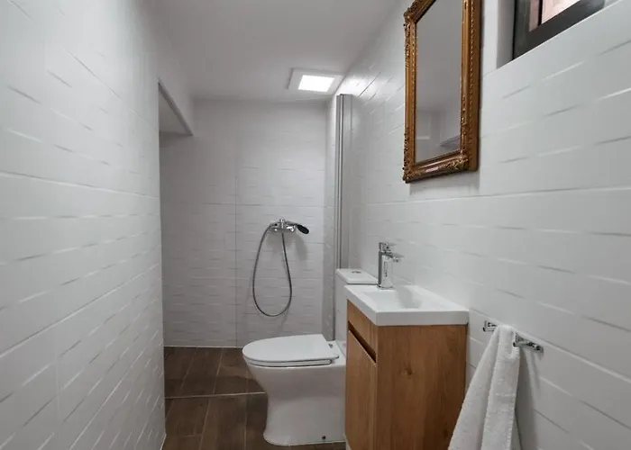 Refugio Do Barqueiro - Douro Holiday home *